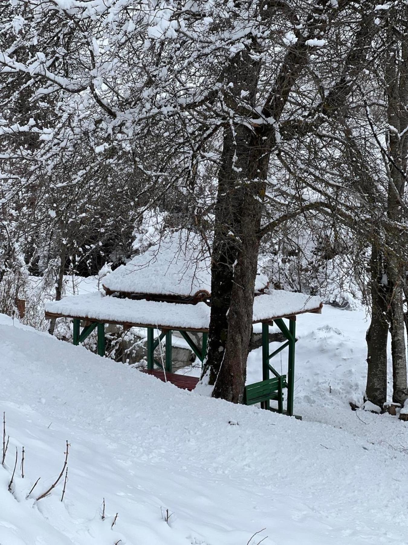 Matesevo Guest Hauses Villa Kolašin Exteriör bild